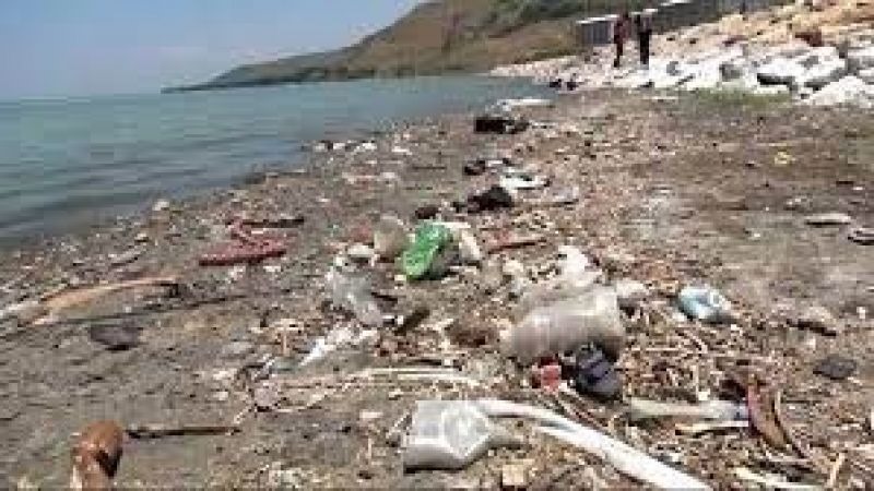 Van Gölü Alarm Veriyor: Kıyılarda Kirlilik Tehlikeli Seviyede