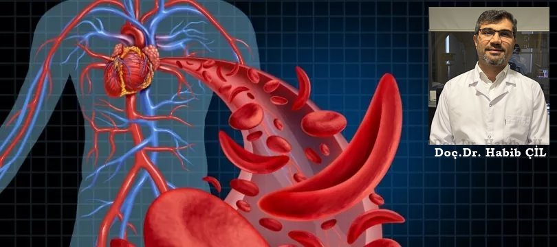 Kalp ve Damar Hastalıkları: 2,5 Dakikada Bir Ölüm