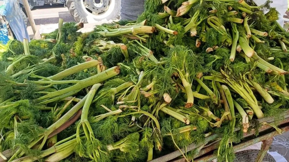 Uşkun, mendi ve çirişi kökünden sökene 699 bin lira ceza