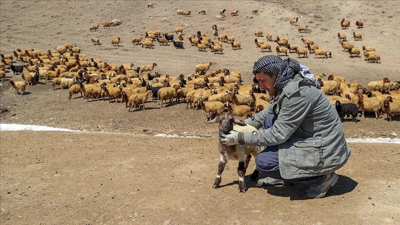 Çiftçilere Müjde: Kredi Limitleri Artırıldı