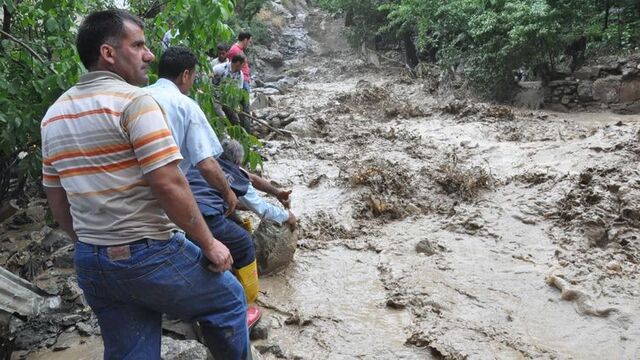 Van ve Hakkari'de  sel can aldı 